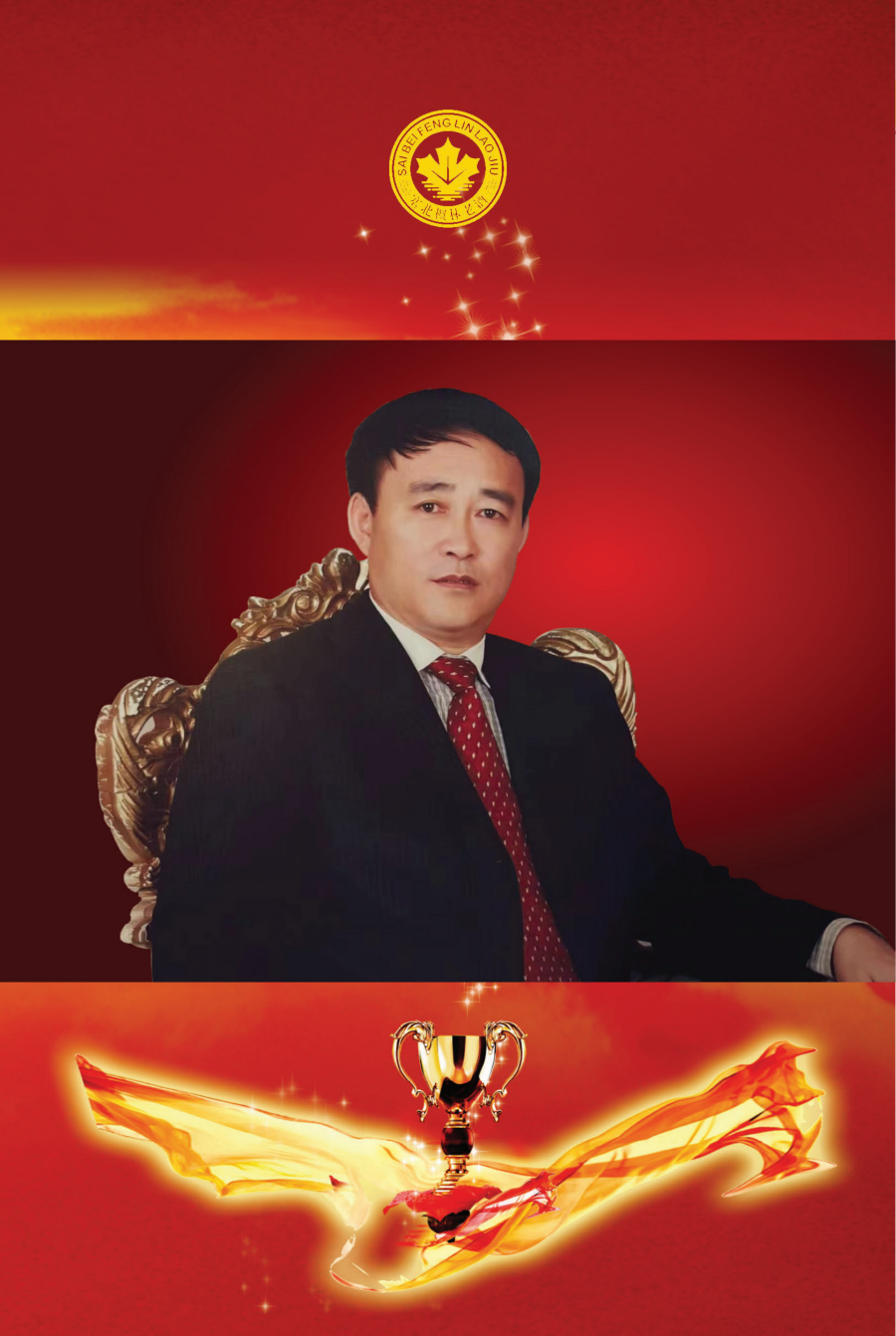 枫林酒业,枫林老酒,枫林集团,公司画册